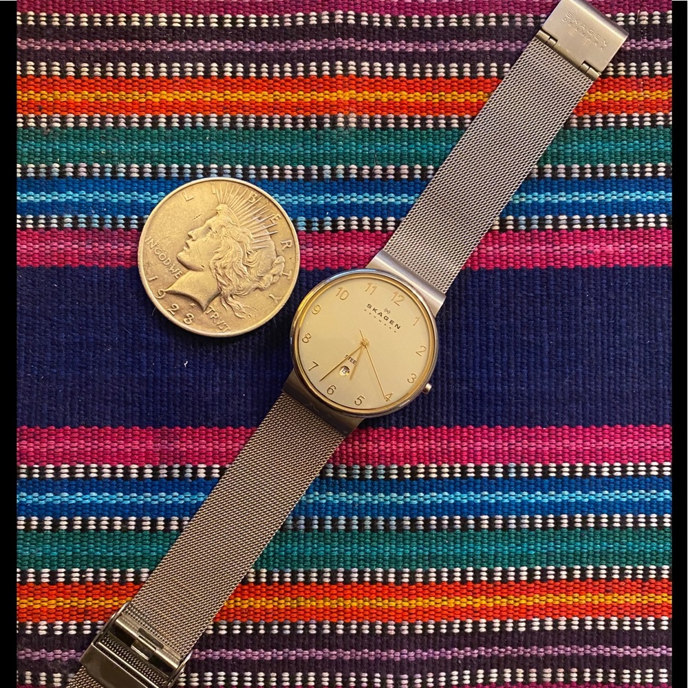 Sleek SKAGEN Denmark Men’s Stainless Steel Watch